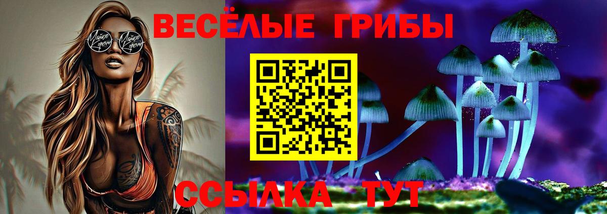 Галлюциногенные грибы мухоморы Каменск-Уральский